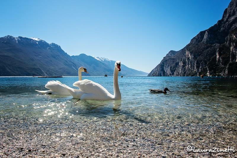 Villa Linfano Torbole Sul Garda Dış mekan fotoğraf